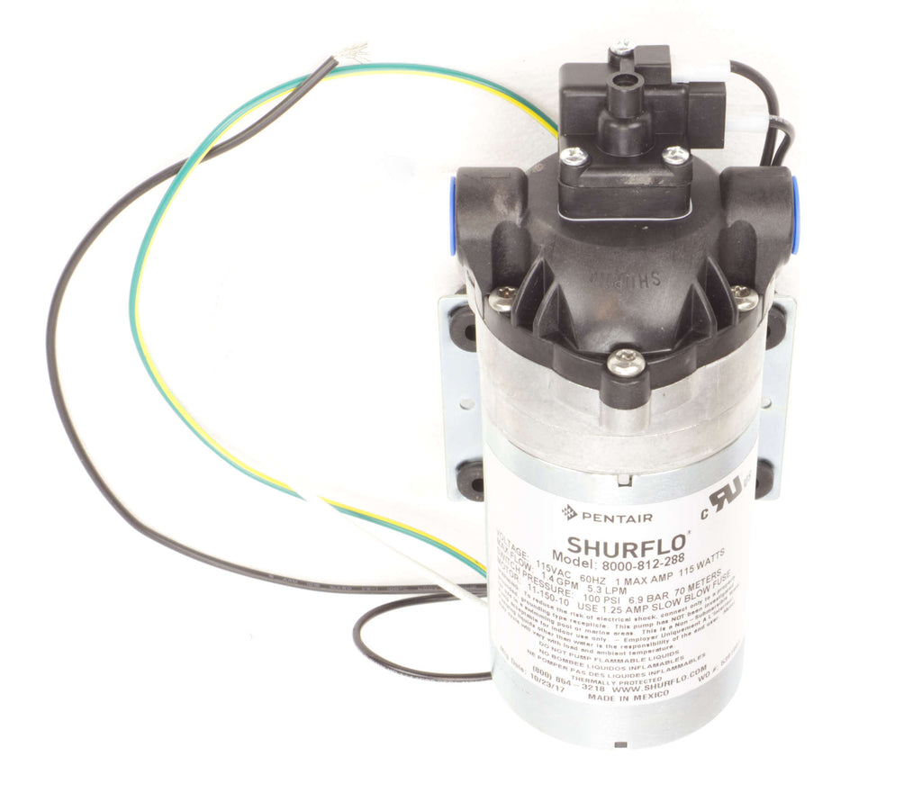 Pompe pour extracteur - 100 PSI - Shurflo Viton
